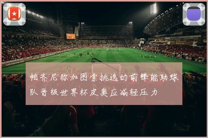 帕齐尼称加图索挑选的前锋能助球队晋级世界杯皮奥应减轻压力