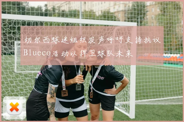 切尔西球迷组织发声呼吁支持抗议Blueco活动以捍卫球队未来