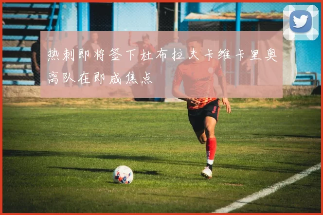 热刺即将签下杜布拉夫卡维卡里奥离队在即成焦点